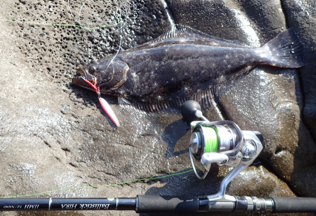 伊豆大島ヒラメ キャッチ 17年3月上旬 釣りキチ隆の視点