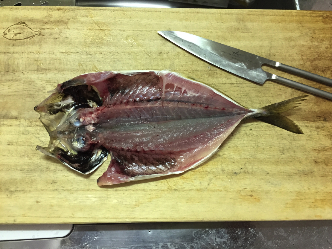 魚料理レシピ アジの昆布 酢締めが美味い その作り方 手順を公開 釣りキチ隆の視点