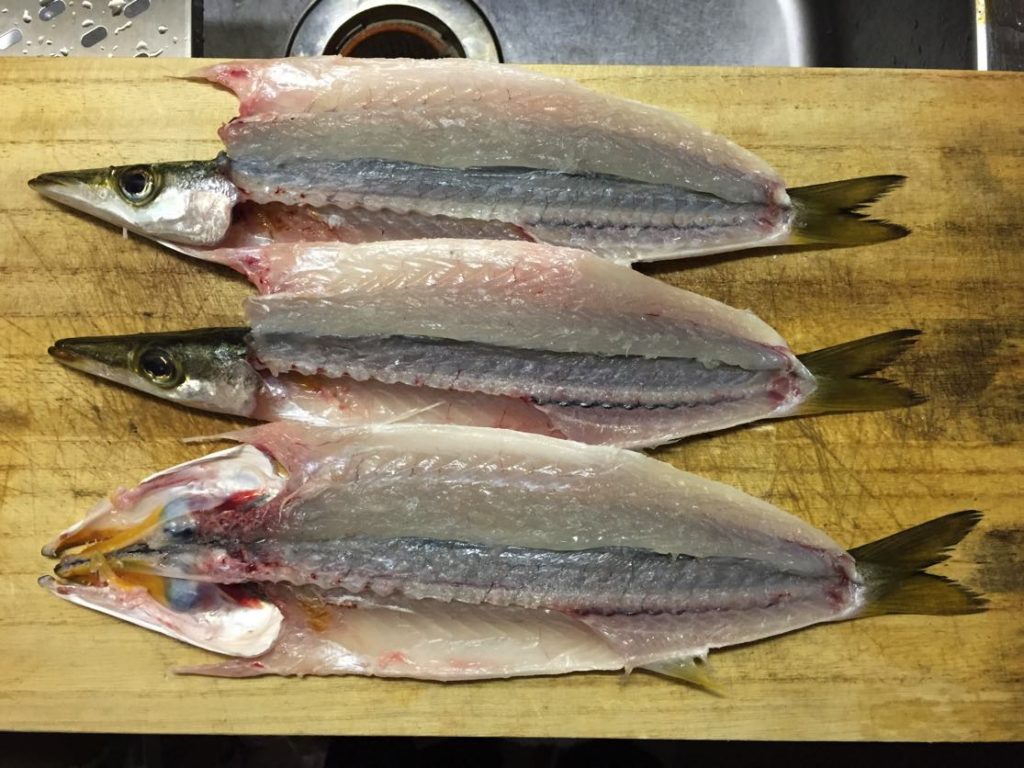 魚料理レシピ カマスの美味しい食べ方 干物 一夜干し の作り方を解説 釣りキチ隆の視点