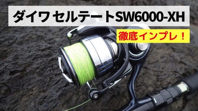 SALE限定SALE DAIWA - ダイワ DAIWA 21セルテートSW 6000-XHの通販 by