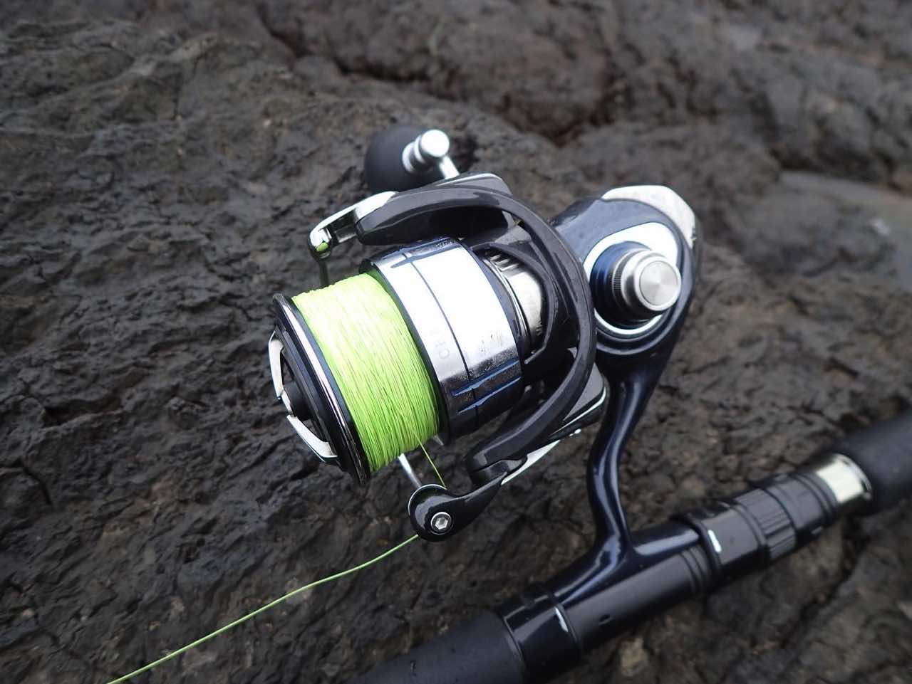 ダイワ(DAIWA) スピニングリール セルテート SW 6000-XH 公式初売