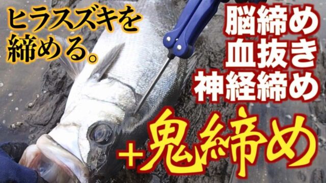 NEW限定品】 フィッシュピック 釣り 釣具 糸ほぐし 活け締め 神経締め 脳締め チタン製