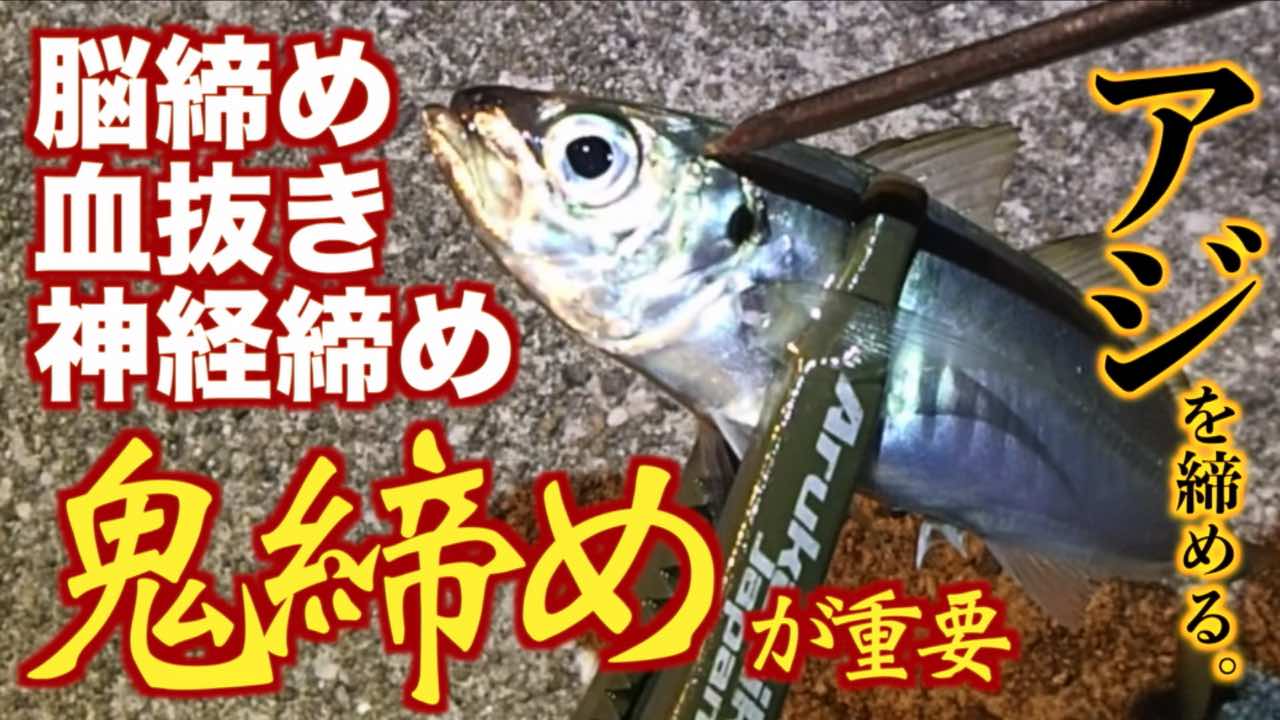 釣り場での魚 アジの締め方 脳締め 血抜き 神経締め 鬼締め 理由も含めて解説 活け締め 釣りキチ隆の視点