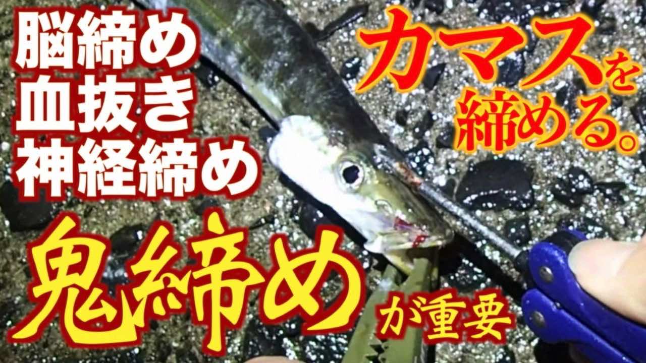 アジ 脳締め 血抜き: アジの脳締めから血抜き _ アジ 脳 締め 血抜き – YWYP