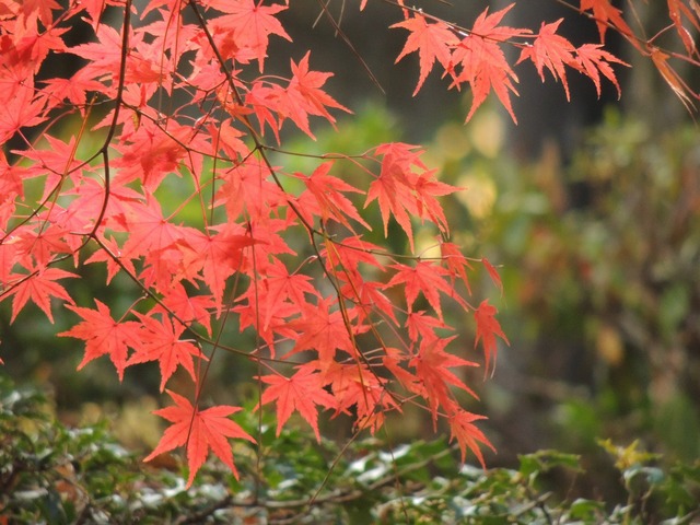 a0960_005375_m