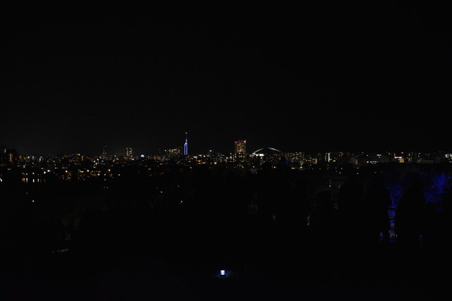 DSC_0094☆