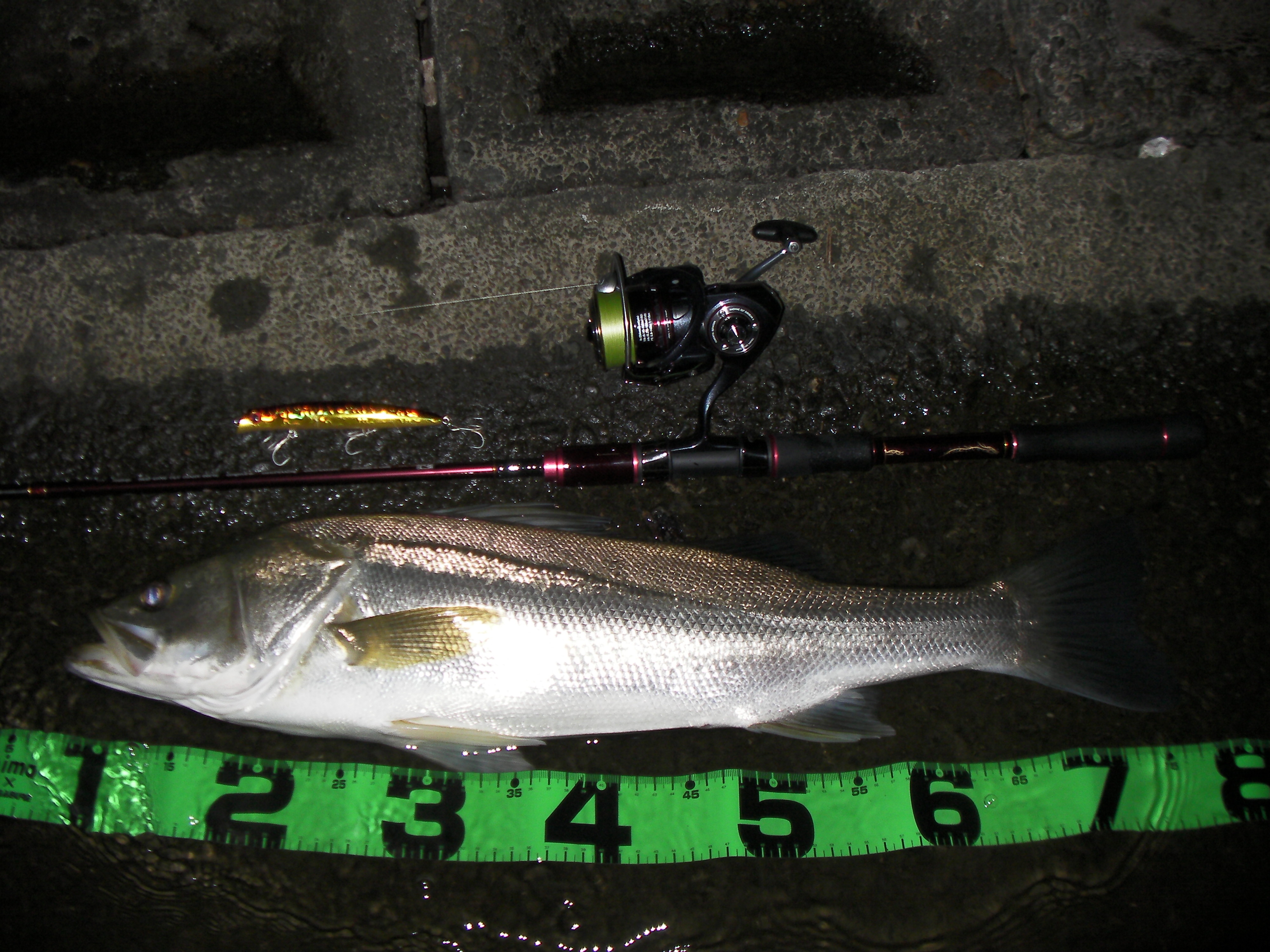 涸沼の釣行にてポイントに入って高確率で１投目に投げるルアー 釣りキチ隆の視点