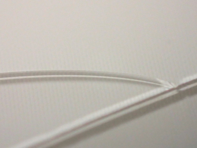 P8290008