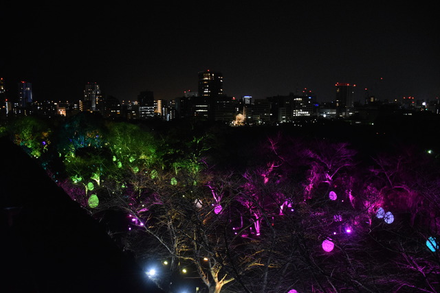 DSC_0090☆