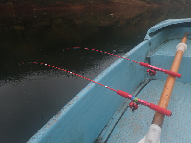 ワカサギ釣り道具で、高性能な穂先（ロッド、竿）が有効な理由。｜釣り 